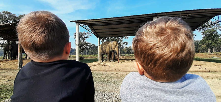 Kids at Elephant breeding center